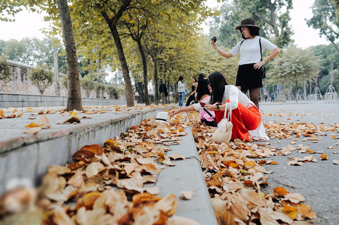 17 ngày nữa là hết năm, người Hà Nội ngỡ ngàng bắt gặp hoa ban trái mùa khoe sắc trong giá rét 17 ngày nữa là hết năm, người Hà Nội ngỡ ngàng bắt gặp hoa ban trái mùa khoe sắc trong giá rét